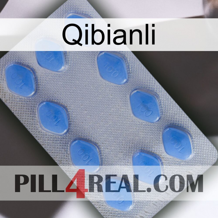 Qibianli 21
